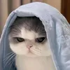 ngitingmisteryoso