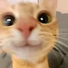 jm.cutie12