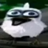 knopik_tiktok