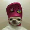 saraniglezb