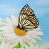 arigio84_