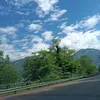 karima91talia