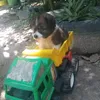 maymaygj