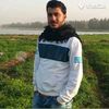 shab1993.c