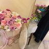 Dr.Montaha Mohamed🎀