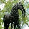 abumohammad8436