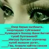 user2765073648332