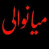 kashi_0302