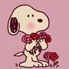keven_mz503