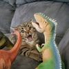 fletchxrsvenom