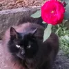 patty_marzani