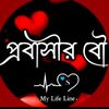 user15067692014791