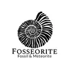 Fosseorite ฟอสซิลและอุกกาบาต