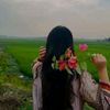 user5231082986260