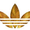 asdoaad12