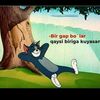 useruzb99629200