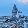 semih4881