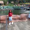 ica_naim