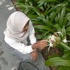 pipong10_