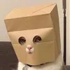 dommemalloot