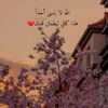 lolo.4582