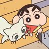 lhcshinchan