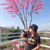 jipjoice_ksn
