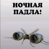 veronika_78249