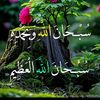 subedahhamid