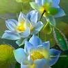 lan.tran2904