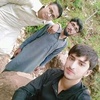 muhammadtanveer5894