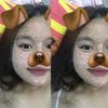 aom_am0220