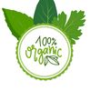0nly_creative_lifestyle