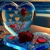 dy71gbqtq7n1