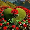 hasnaa_hasnaa4