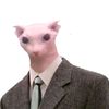 gato_formal123