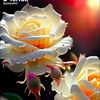 jahidhossain6249