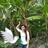 dy90tdy506yw