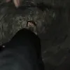 sibidichautoilet