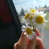 7yinnn