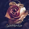 nalm_45