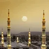 mounirmounir6879