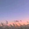anhxinhgaidapxetrenpho1