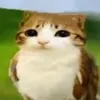 concublueboi