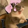 bellepooks1