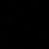 ş
