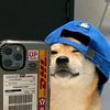doche_dave