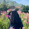 olif_1809
