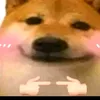 dycqppxbkejz