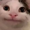 dyv7zfzlz0k8